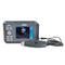 Portable Animal Vet Ultrasound Scanner Handscan Sector Probe