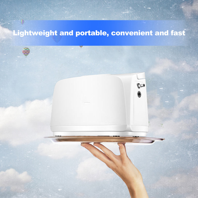 Portable 3L/min Oxygen Concentrator Machine Home and Car Use