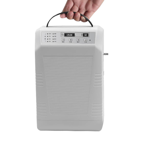 Portable Pulse Oxygen Concentrator with Air Purifier 1-5L/min Oxygen Generator AC 220V/110V