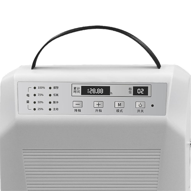 Portable Pulse Oxygen Concentrator with Air Purifier and Rechargeable Battery 1-5L/min Oxygen Generator AC 220V/110V